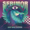 Sebimor - Hay Que Pichar - Single